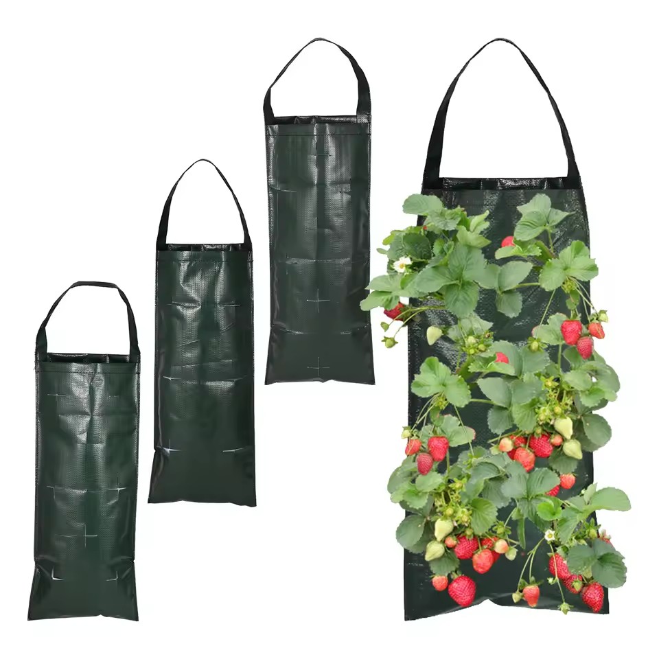 Agriculture Vertical Farming - 6/8/10 Holes Hanging Strawberry Planting Bag