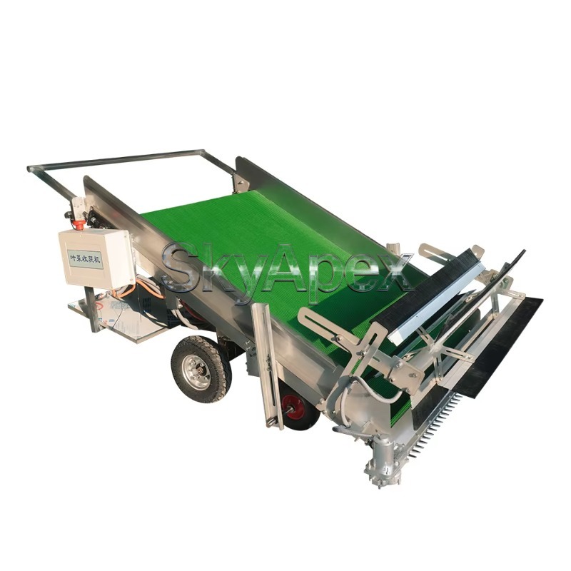 Agricultural Machinery Greenho - Agriculture Farming Vegetables บทวิจารณ์และราคา