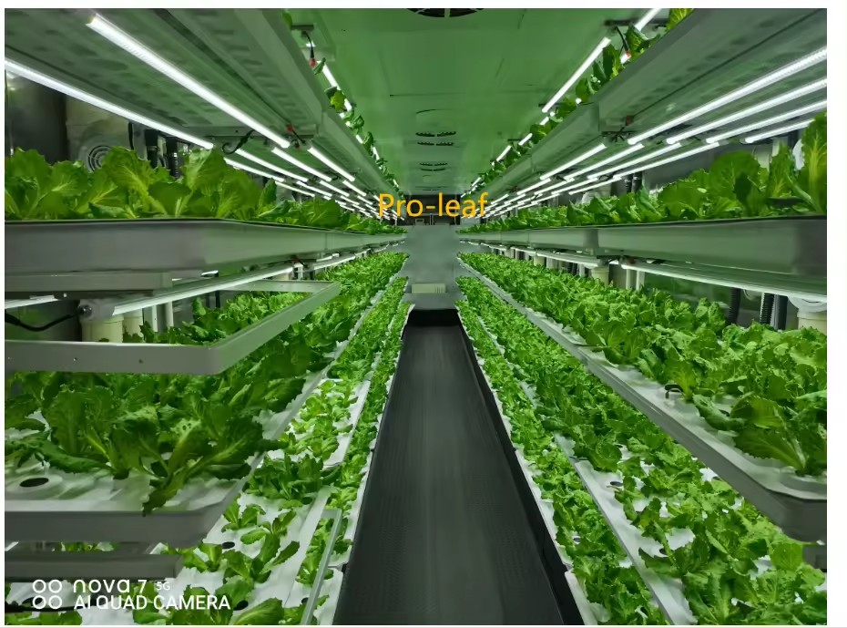 f Greenhouse Agricultural Equi - Agriculture Farming Vegetables บทวิจารณ์และราคา