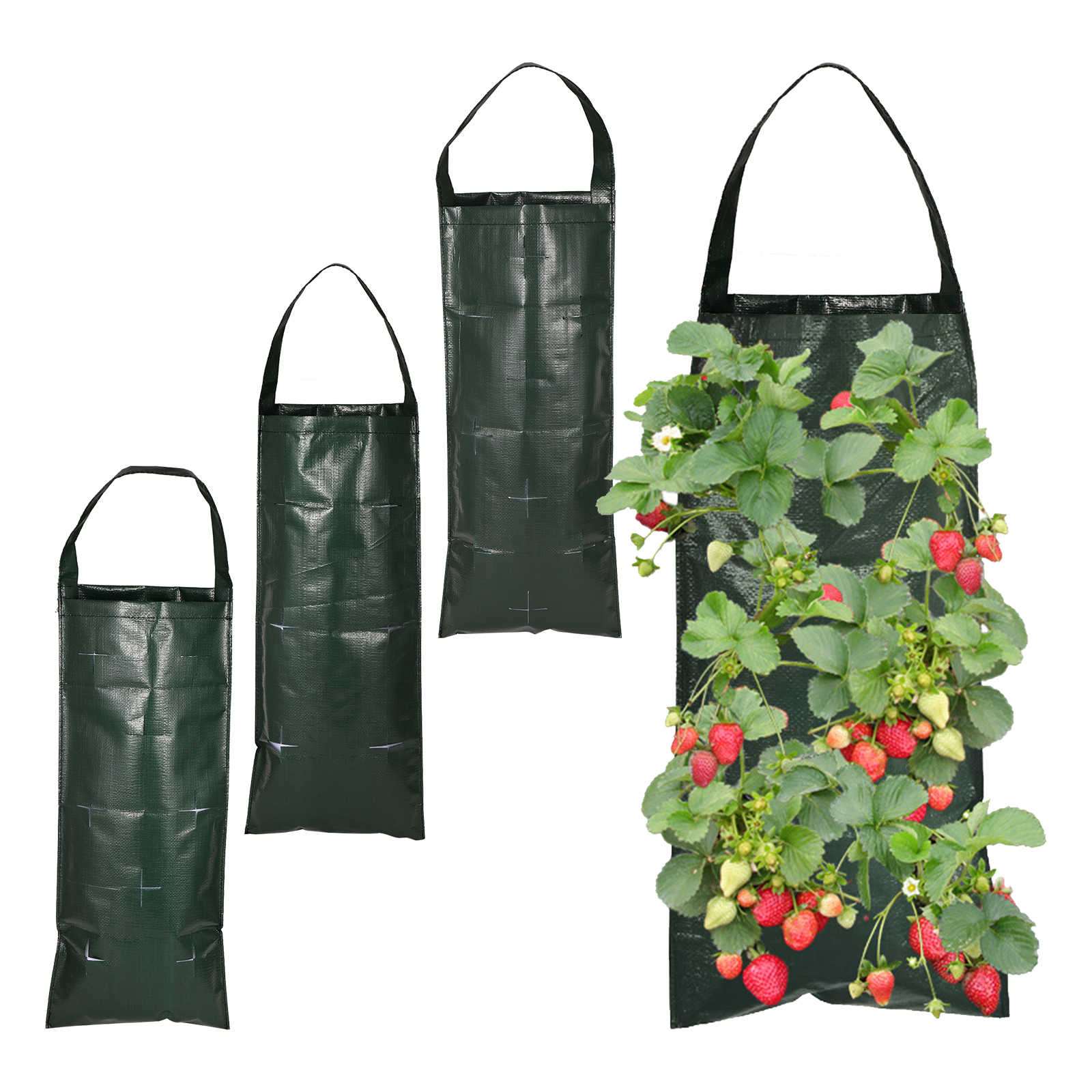6/8/10 Holes Hanging Strawberr - Agriculture Vertical Farming บทวิจารณ์และราคา