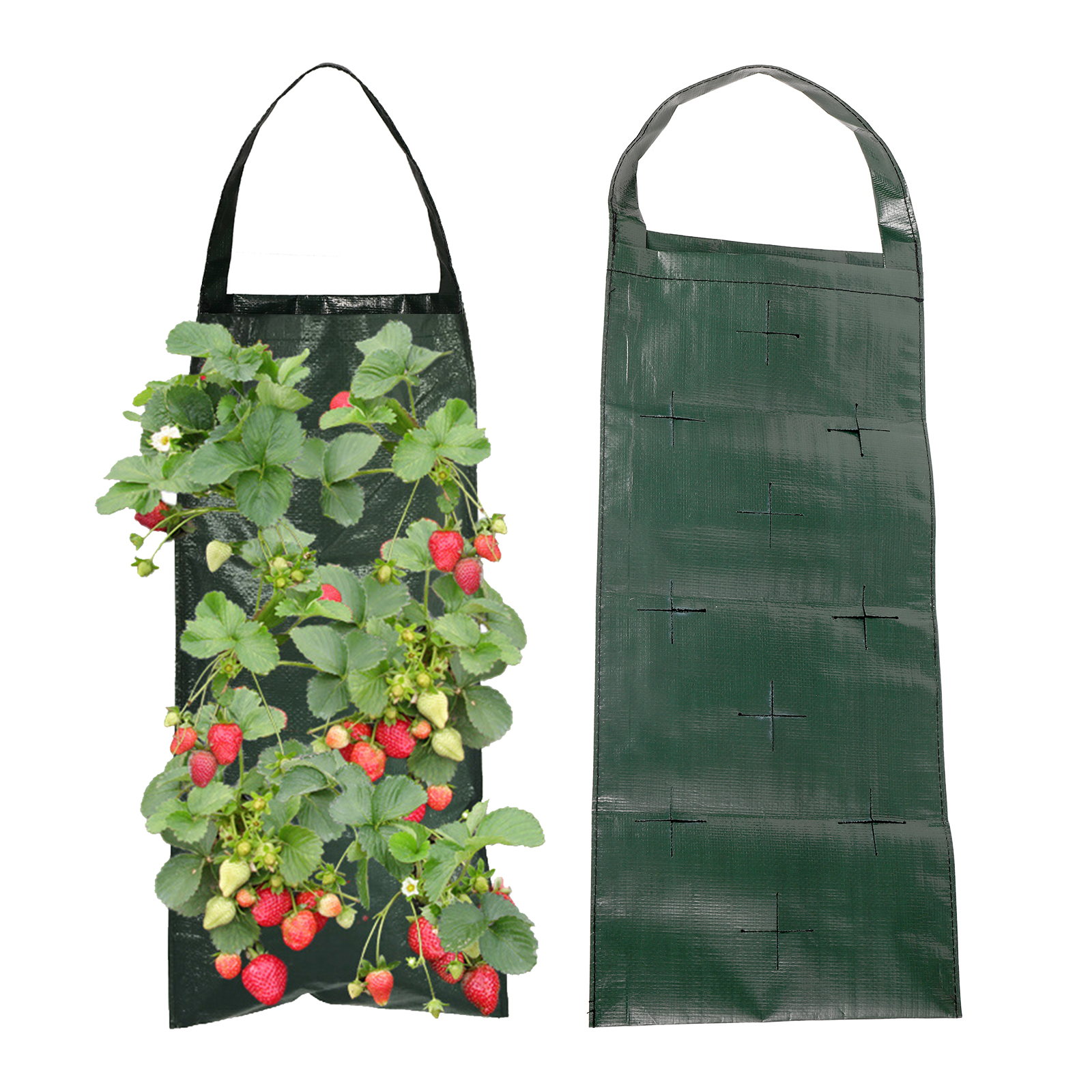 6/8/10 Holes Hanging Strawberr - Agriculture Vertical Farming บทวิจารณ์และราคา