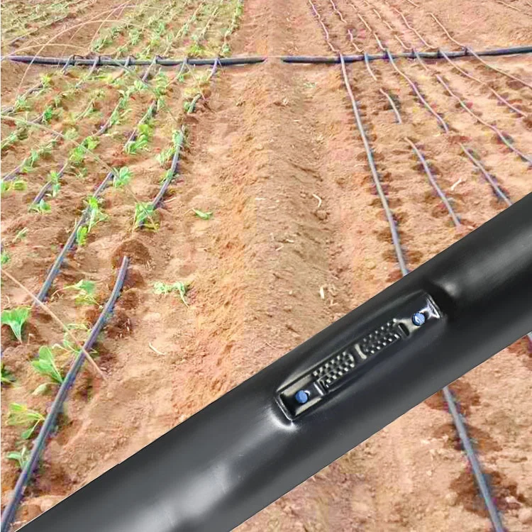 1HA Irrigation Kit Agricultura - Agriculture Farming Kit บทวิจารณ์และราคา