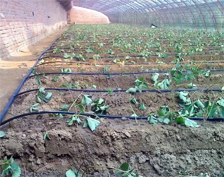 1HA Irrigation Kit Agricultura - Agriculture Farming Kit บทวิจารณ์และราคา