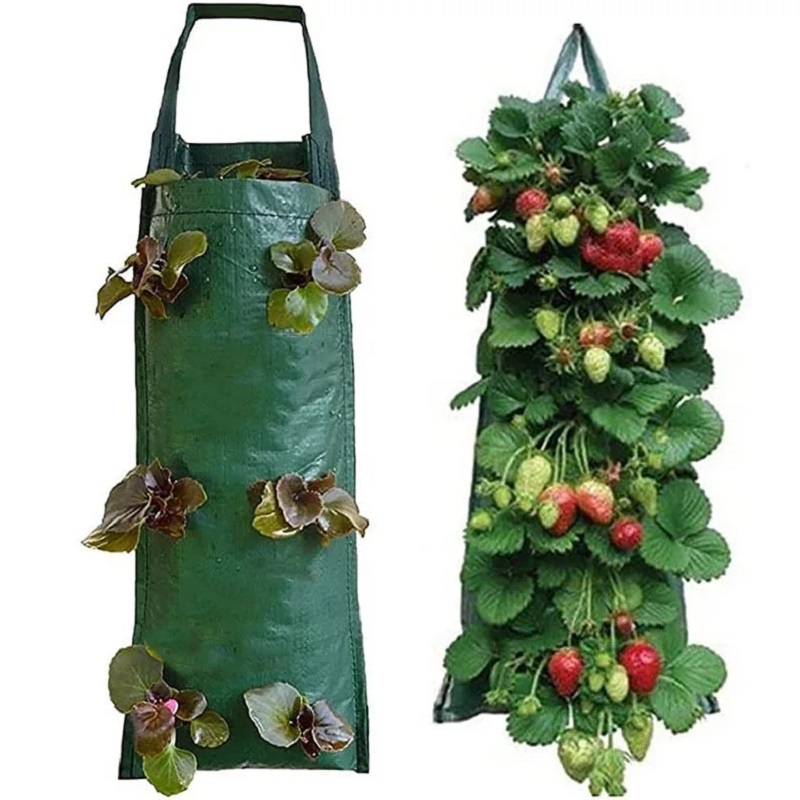 6/8/10 Holes Hanging Strawberr - Agriculture Vertical Farming บทวิจารณ์และราคา