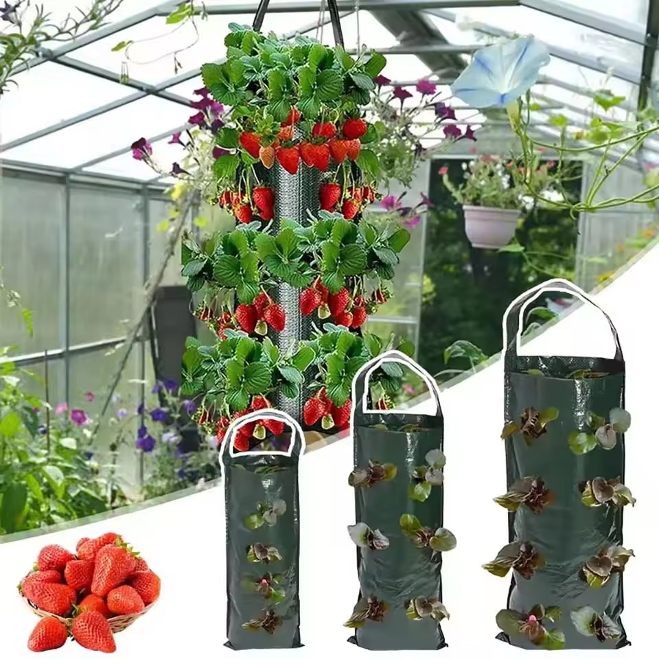 6/8/10 Holes Hanging Strawberr - Agriculture Vertical Farming บทวิจารณ์และราคา