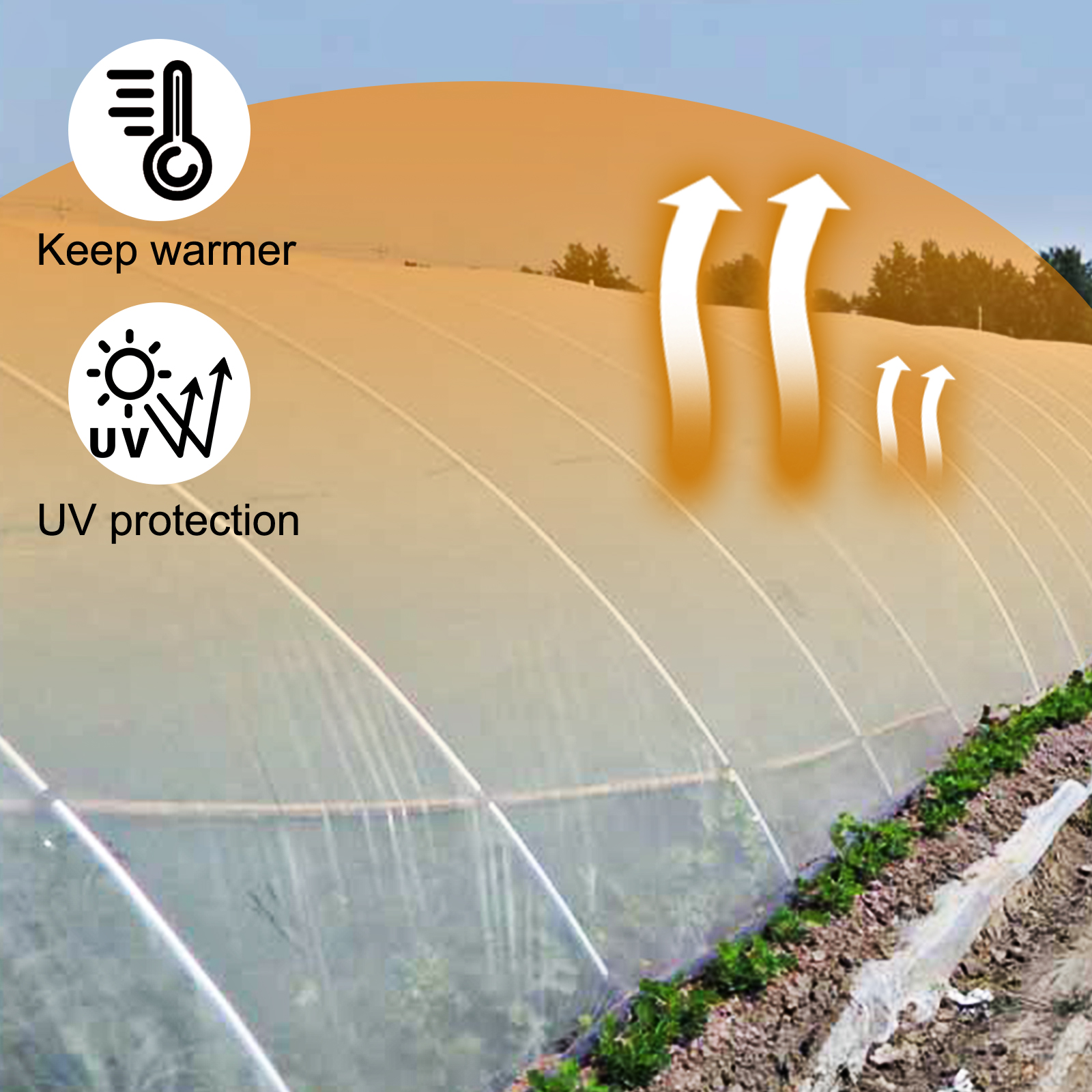 SucceBuy Agricultural Greenhou - Agriculture Farming Vegetables บทวิจารณ์และราคา