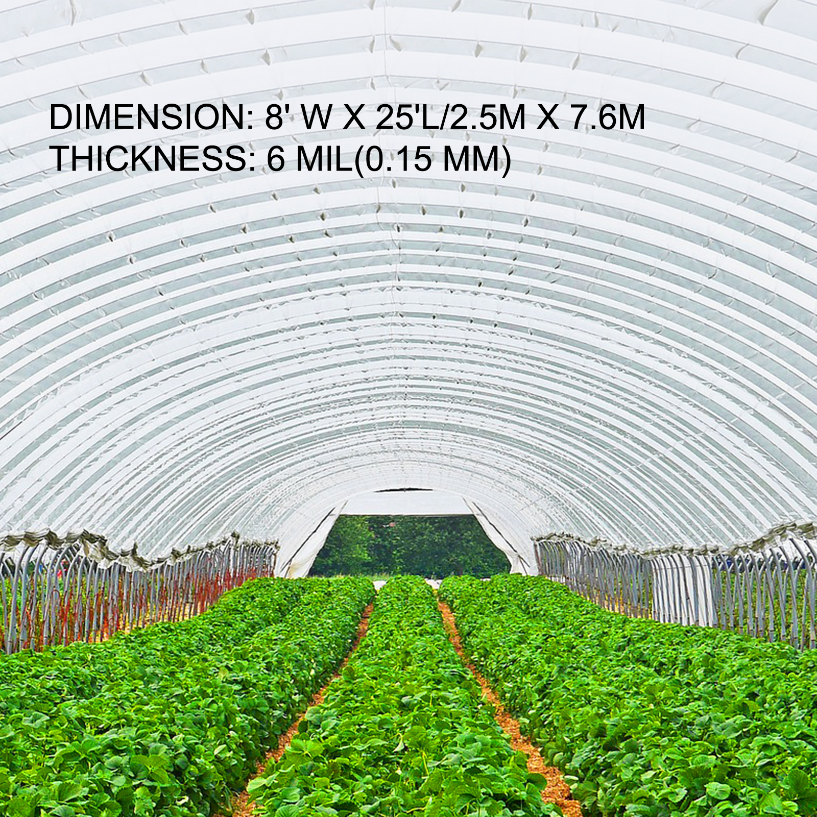 SucceBuy Agricultural Greenhou - Agriculture Farming Vegetables บทวิจารณ์และราคา