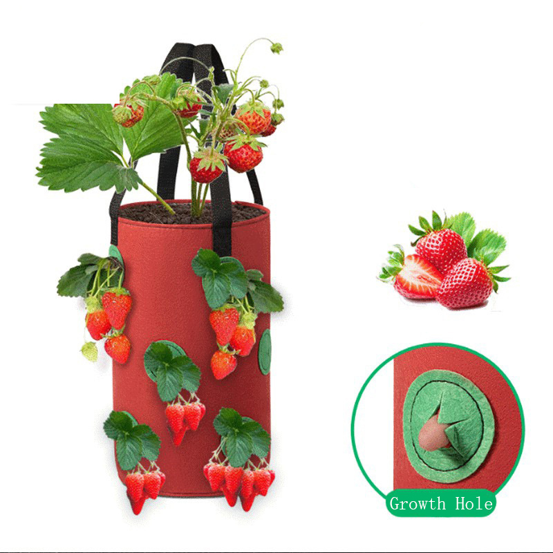 1Pc Hanging Planting Bag Straw - Agriculture Vertical Farming บทวิจารณ์และราคา